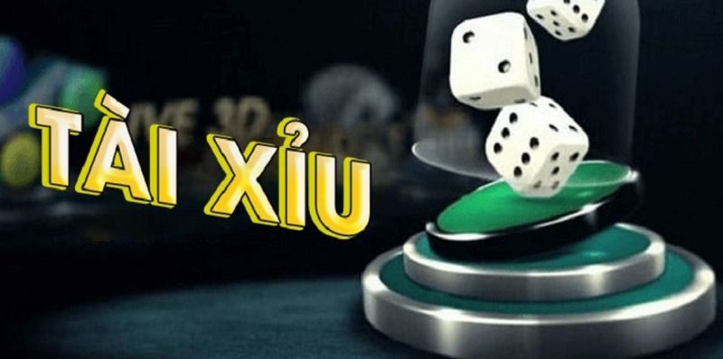 Đánh Giá Thực Tế Về Độ Chính Xác Và Những Cạm Bẫy Từ App Miễn Phí
