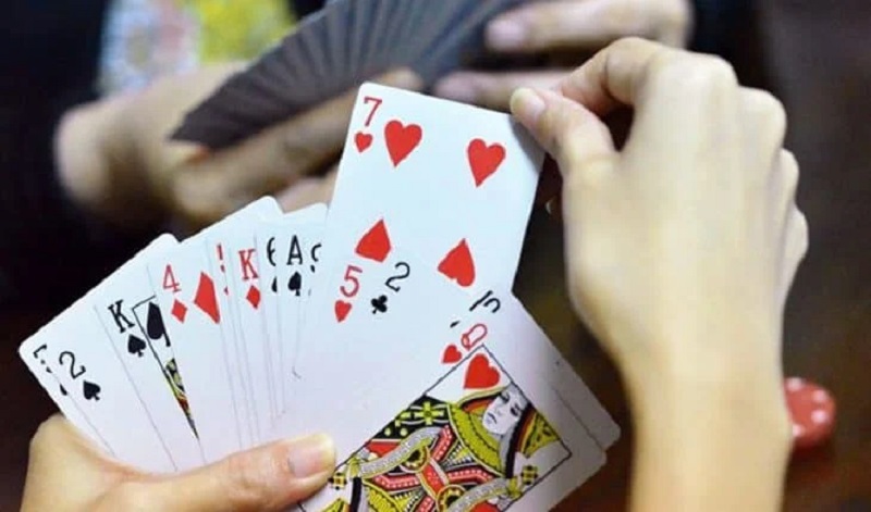 Hiểu rõ khái niệm và tư duy dụ heo đầu game